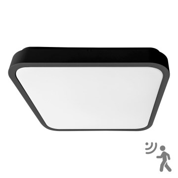 BRILAGI - LED fürdőszobai mennyezeti lámpatest érzékelővel ZENNA LED/36W/230V 41,5x41,5 cm IP44 fekete + távirányító