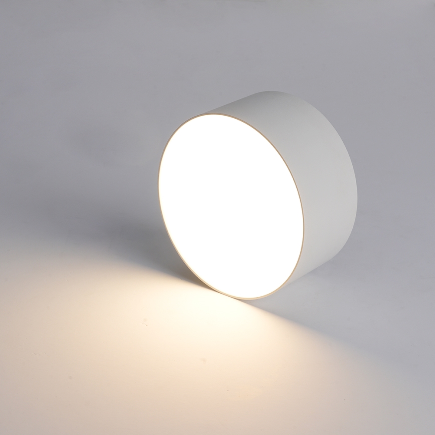Brilagi - LED fürdőszobai mennyezeti lámpatest FORIS LED/20W/230V, Ø 15 cm, fehér, IP44