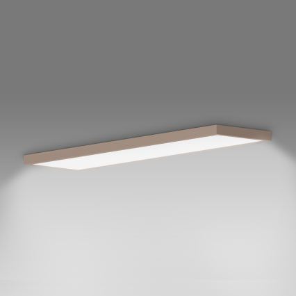 BRILAGI - LED fürdőszobai mennyezeti lámpa FRAME LED/50W/230V 120x30 cm IP44 bézs