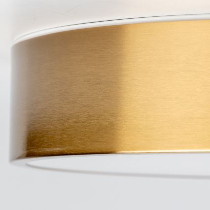 Brilagi - LED fürdőszobai mennyezeti lámpatest POOL LED/24W/230V 3000/4000/5500K átm. 30 cm IP54 bronz