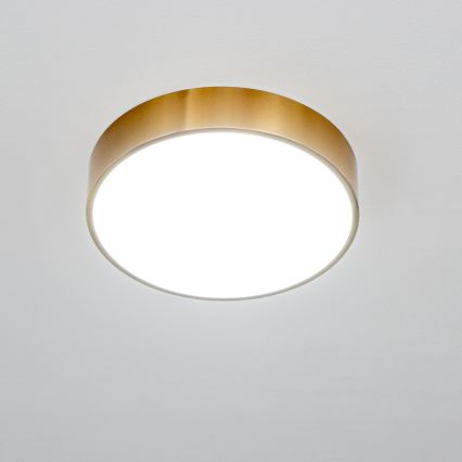 Brilagi - LED fürdőszobai mennyezeti lámpatest POOL LED/24W/230V 3000/4000/5500K átm. 30 cm IP54 bronz