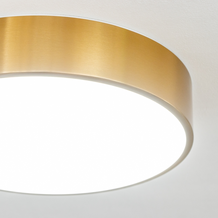 Brilagi - LED fürdőszobai mennyezeti lámpatest POOL LED/24W/230V 3000/4000/5500K átm. 30 cm IP54 bronz