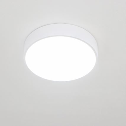 Brilagi - LED fürdőszobai mennyezeti lámpatest POOL LED/24W/230V 3000/4000/5500K átmérő 30 cm IP54 fehér