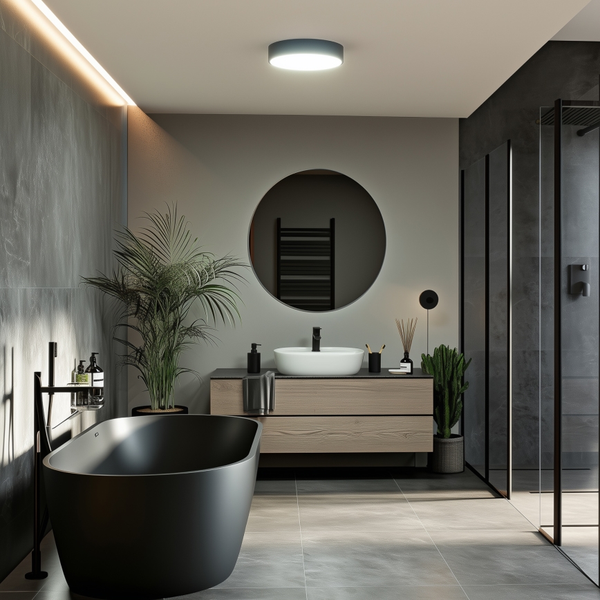 Brilagi - LED fürdőszobai mennyezeti lámpatest POOL LED/24W/230V 3000/4000/5500K átm. 30 cm IP54 fekete