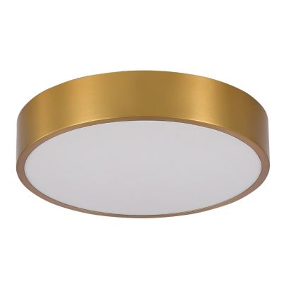 Brilagi - LED fürdőszobai mennyezeti lámpa POOL LED/36W/230V 3000/4000/5500K átm. 40 cm IP54 bronz
