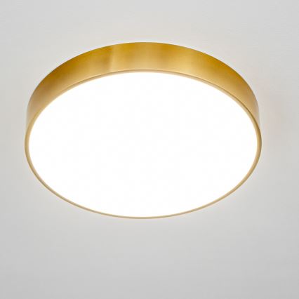 Brilagi - LED fürdőszobai mennyezeti lámpa POOL LED/36W/230V 3000/4000/5500K átm. 40 cm IP54 bronz