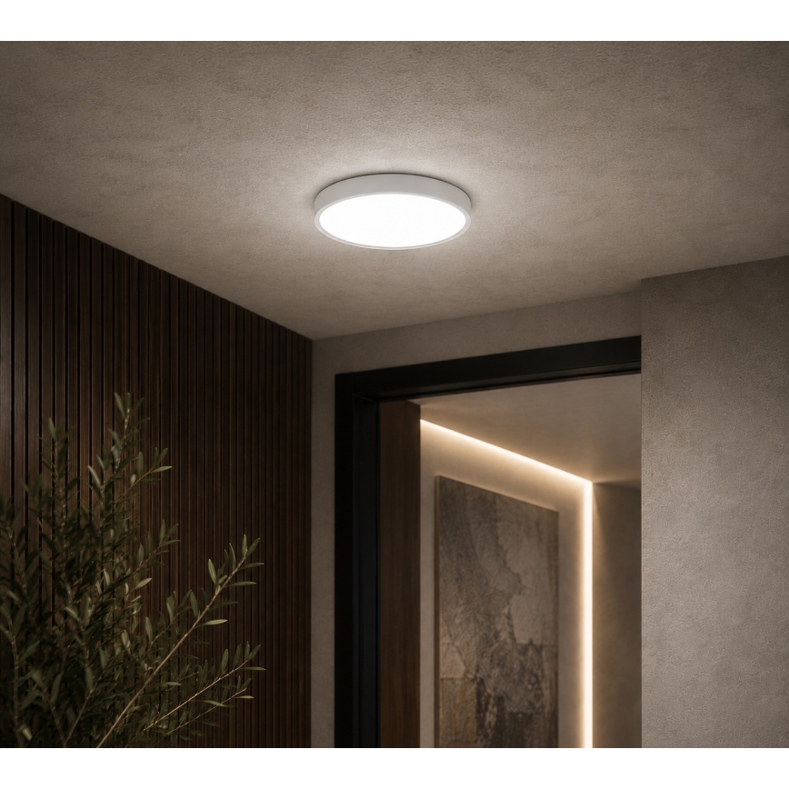 Brilagi - LED fürdőszobai mennyezeti lámpatest ZENNA LED/12W/230V átmérő 25 cm IP44 fehér