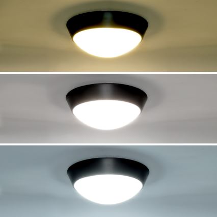Brilagi - LED Kültéri fali lámpa 2in1 BULKHEAD LED/20W/230V 3000/4000/6000K IP65