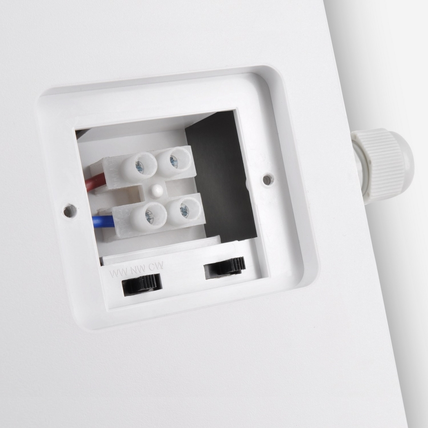 Brilagi - LED Kültéri fali lámpa 2in1 BULKHEAD LED/20W/230V 3000/4000/6000K IP65