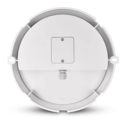 Brilagi - LED Kültéri fali lámpa 2in1 BULKHEAD LED/20W/230V 3000/4000/6000K IP65