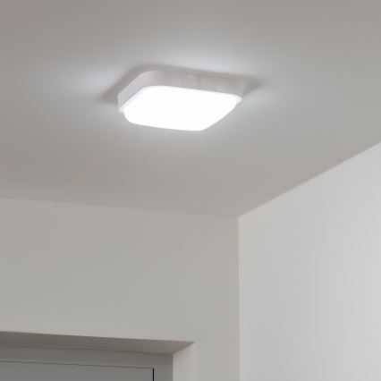Brilagi - LED Kültéri fali lámpa LED/20W/230V IP54