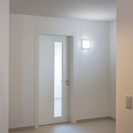 Brilagi - LED Kültéri fali lámpa LED/20W/230V IP54