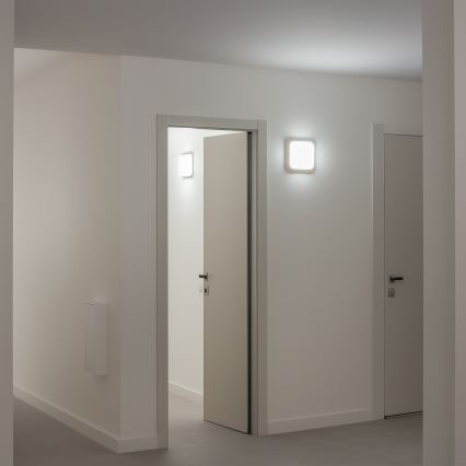 Brilagi - LED Kültéri fali lámpa LED/20W/230V IP54