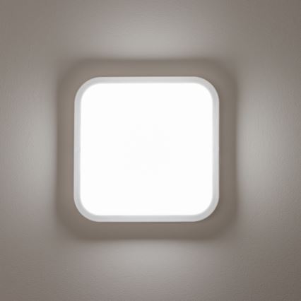 Brilagi - LED Kültéri fali lámpa LED/20W/230V IP54