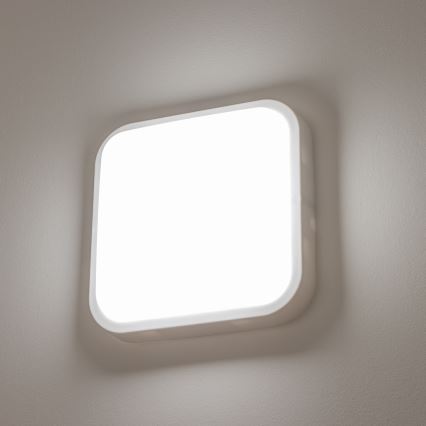 Brilagi - LED Kültéri fali lámpa LED/20W/230V IP54