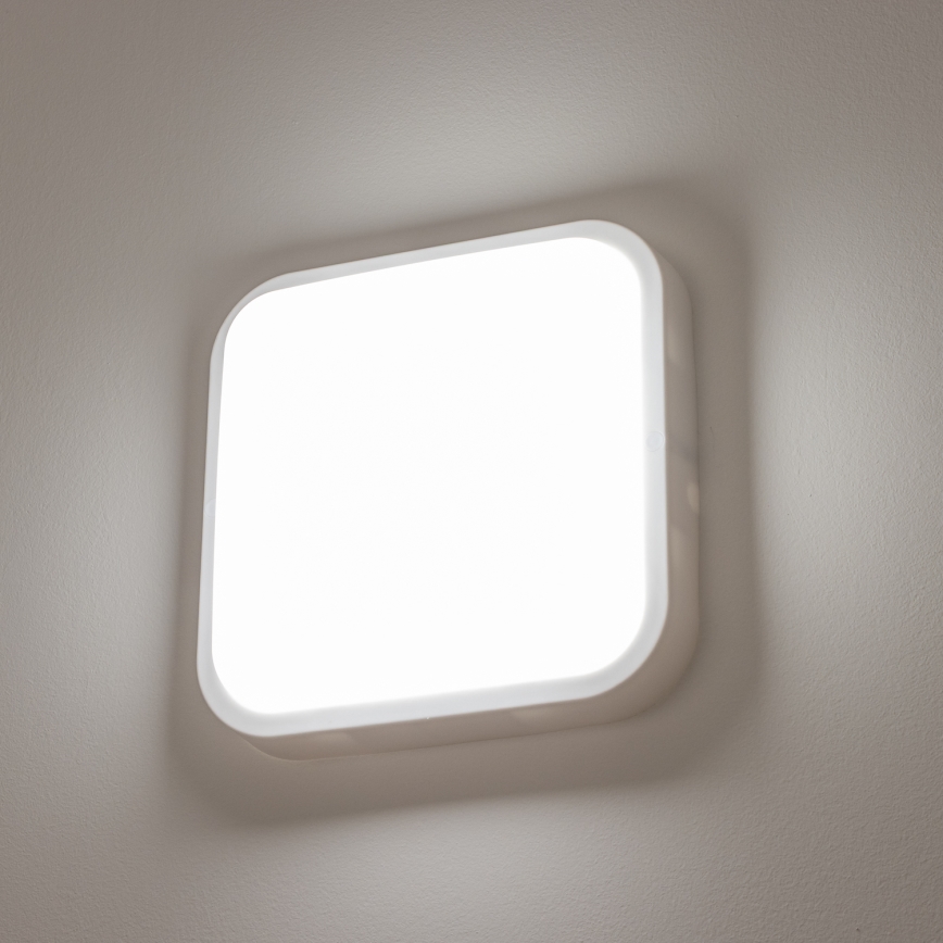 Brilagi - LED Kültéri fali lámpa LED/20W/230V IP54