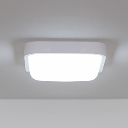 Brilagi - LED Kültéri fali lámpa LED/20W/230V IP54