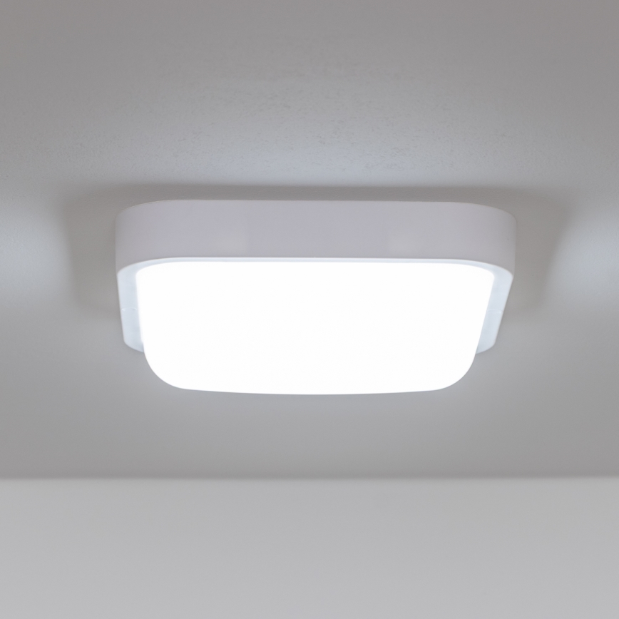 Brilagi - LED Kültéri fali lámpa LED/20W/230V IP54