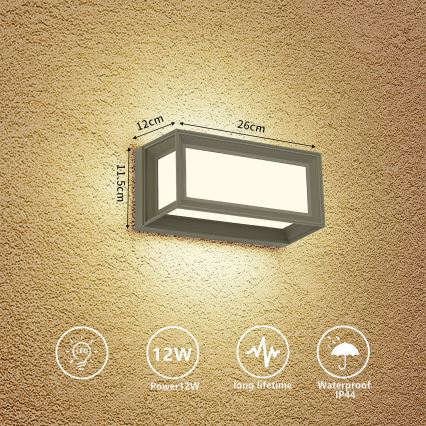 Brilagi - PARKER LED kültéri fali lámpatest 12W/230V 3000/4500/6000K szürke IP44