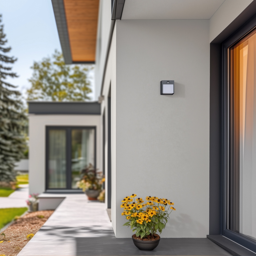 Brilagi - LED kültéri fali lámpa mozgásérzékelővel TERNI LED/12W/230V antracit IP44