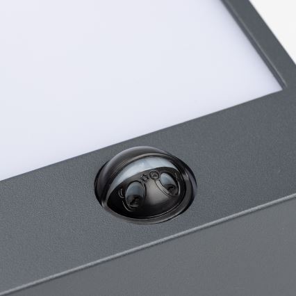 Brilagi - LED kültéri fali lámpa mozgásérzékelővel TERNI LED/12W/230V antracit IP44