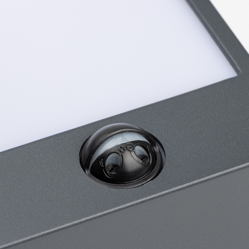 Brilagi - LED kültéri fali lámpa mozgásérzékelővel TERNI LED/12W/230V antracit IP44