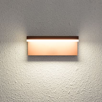 Brilagi - LED kültéri fali lámpa TESSI LED/10W/230V barna IP54
