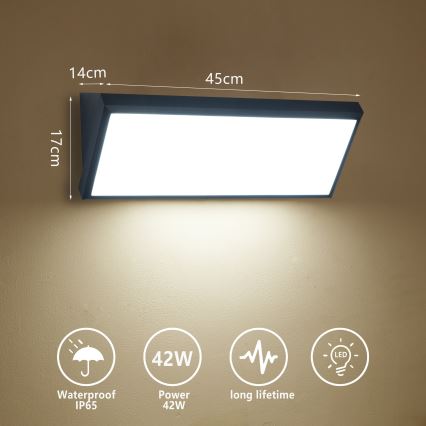 Brilagi - LED kültéri fali lámpa TRIANGLE LED/42W/230V 3000/4000/6500K fekete IP65
