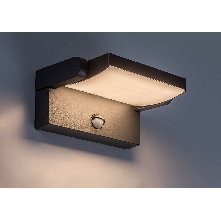 BRILAGI - LED kültéri fali lámpa mozgás- és alkonyérzékelővel ANKLE LED/12W/230V IP65 fekete