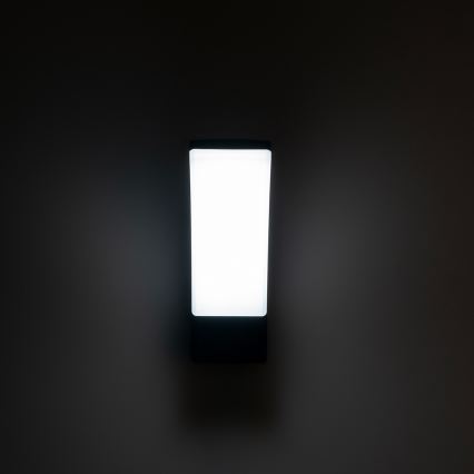 BRILAGI - LED kültéri fali lámpatest ARCELO LED/12W/230V IP65 fekete