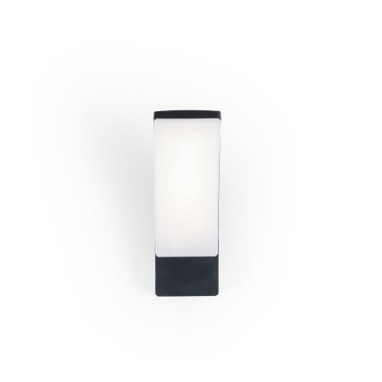 BRILAGI - LED kültéri fali lámpatest ARCELO LED/12W/230V IP65 fekete