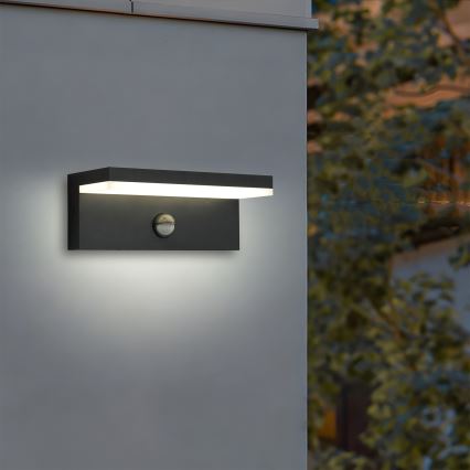 Brilagi - LED kültéri fali lámpatest érzékelővel TESSI LED/10W/230V fekete IP54