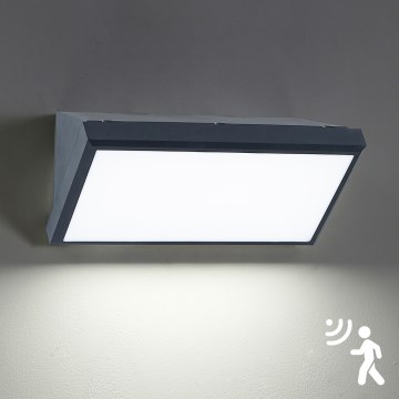 Brilagi - LED kültéri fali lámpatest érzékelővel TRIANGLE LED/20W/230V antracit IP65