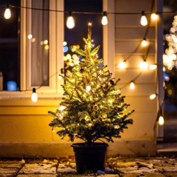 Brilagi - LED kültéri fényfüzér 10xLED/3xAA 3,2m IP44 meleg fehér