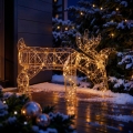 BRILAGI - LED Kültéri karácsonyi dekoráció LED/3,3W/230V IP44 56x43 cm rénszarvas