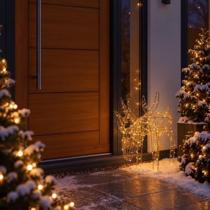BRILAGI - LED Kültéri karácsonyi dekoráció LED/3,3W/230V IP44 56x43 cm rénszarvas