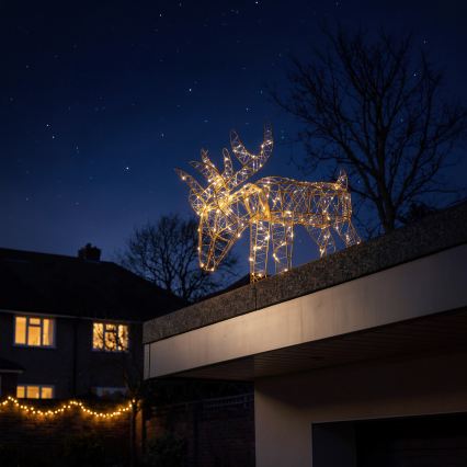 BRILAGI - LED Kültéri karácsonyi dekoráció LED/3,3W/230V IP44 56x43 cm rénszarvas