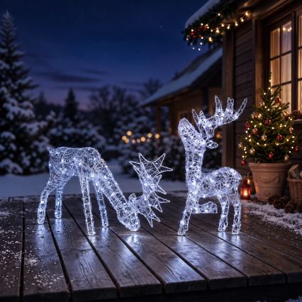 BRILAGI - LED Kültéri karácsonyi dekoráció LED/3,3W/230V IP44 60x37 cm rénszarvas