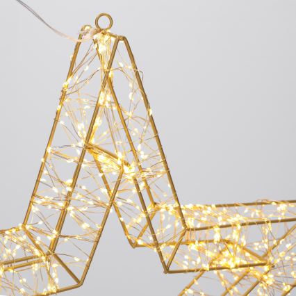 BRILAGI - LED kültéri karácsonyi dísz LED/3,3W/230V IP44 50 cm csillag