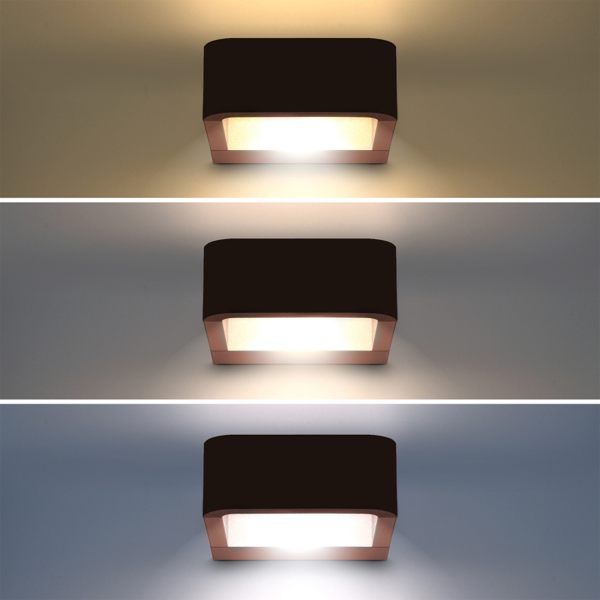 Brilagi - BARI kültéri LED fali lámpatest LED/7W/230V 3000/4000/6000K barna IP54