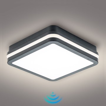 Brilagi - LED Kültéri lámpatest érzékelővel BENE LED/18W/230V 22x22 cm antracit IP54