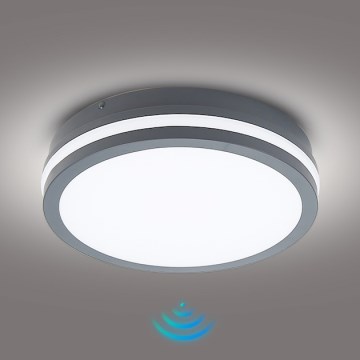 Brilagi - LED kültéri lámpatest érzékelővel BENE LED/24W/230V Ø 26 cm antracit IP54