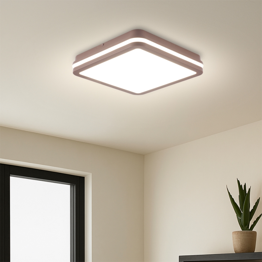 Brilagi - LED kültéri mennyezeti lámpatest érzékelővel BENE LED/24W/230V 26x26 cm barna IP54
