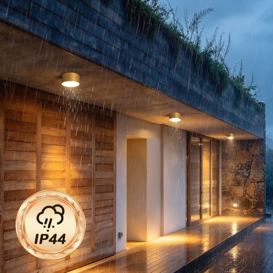 BRILAGI - LED kültéri mennyezeti lámpatest FORIS LED/14W/230V átm. 12 cm arany IP44