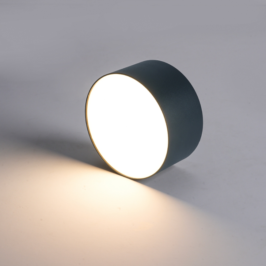 BRILAGI - Kültéri mennyezeti lámpatest FORIS LED/9W/230V átm. 9 cm antracit IP44
