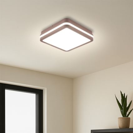 Brilagi - BENE kültéri LED mennyezeti lámpatest LED/18W/230V 21,5x21,5 cm barna IP54