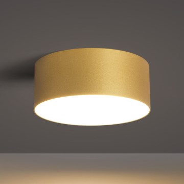 BRILAGI - LED kültéri mennyezeti lámpatest FORIS LED/20W/230V átm. 15 cm arany IP44