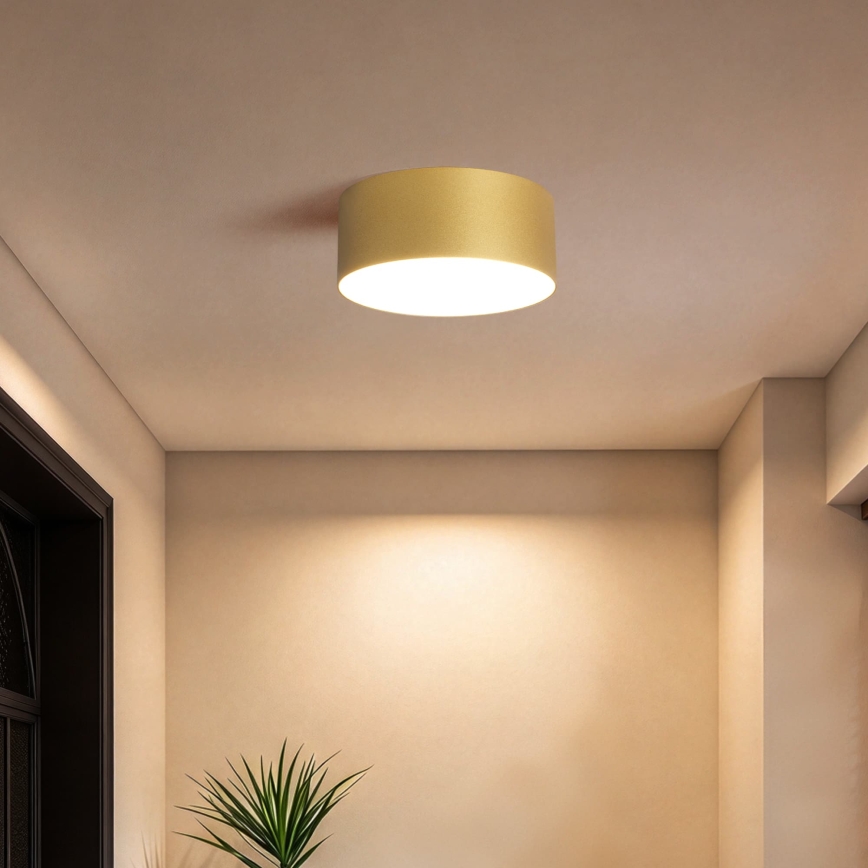BRILAGI - LED kültéri mennyezeti lámpatest FORIS LED/20W/230V átm. 15 cm arany IP44