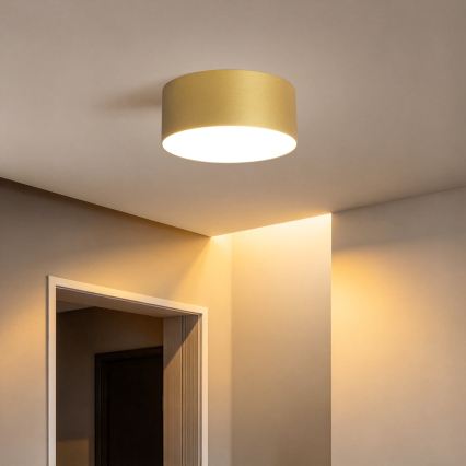 BRILAGI - LED kültéri mennyezeti lámpatest FORIS LED/20W/230V átm. 15 cm arany IP44