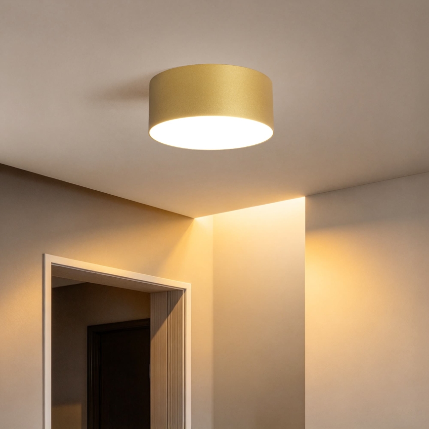 BRILAGI - LED kültéri mennyezeti lámpatest FORIS LED/20W/230V átm. 15 cm arany IP44